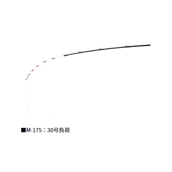 24アナリスターカワハギ